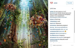 b2b-success-instagram-adobe-1