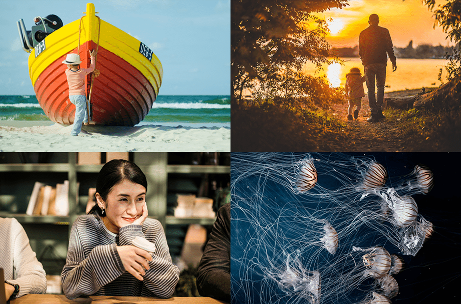 Graphic-Designer-Find-Free-Stock-Images---Stock-Snap