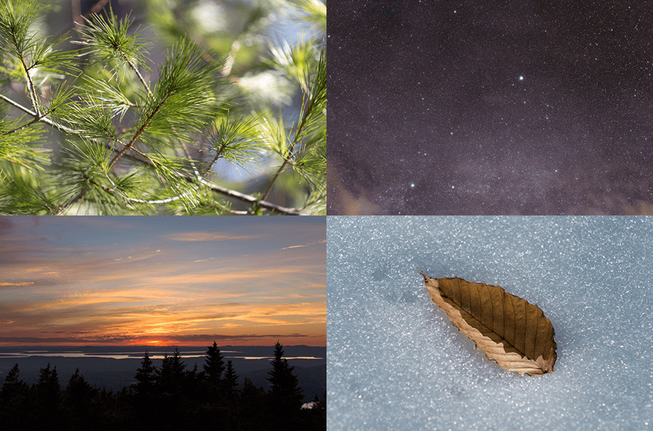 Graphic-Designer-Find-Free-Stock-Images---FreeNature